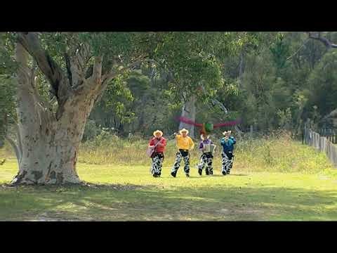 The Wiggles - Follow The Bird - Instrumental