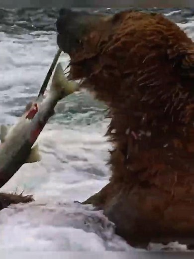 The Best Way To Catch A Salmon