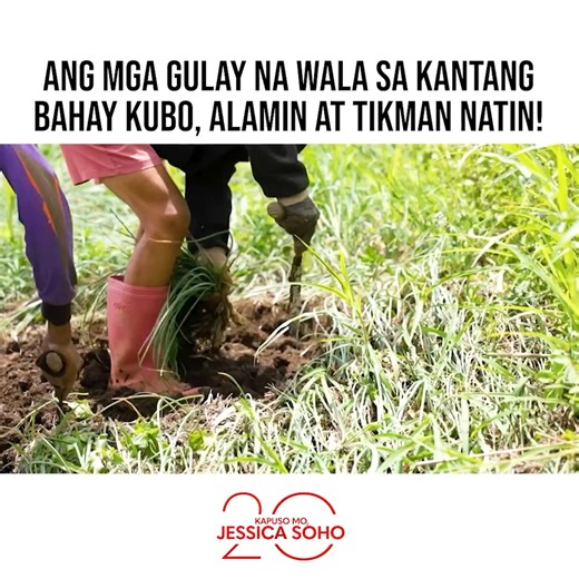 Ang mga gulay na wala sa kantang bahay kubo, alamin at tikman natin! #KMJS | Kapuso Mo, Jessica Soho (One at Heart, Jessica Soho)
