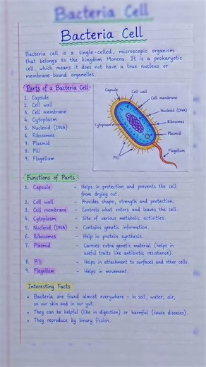Bacteria Cell Diagram with Parts & Functions 🦠 | Class 8 & 9 Biology | Easy Handwritten Notes #cell