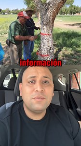 Asegúrate de instalar correctamente los aisladores para evitar daños al árbol y asegurar un funcionamiento óptimo de tu cerca eléctrica. 🔌Protege tu inversión con una instalación adecuada y revisiones periódicas. ¿Tienes dudas? Déjanos un comentario o envíanos un mensaje. ¡Estamos aquí para ayudarte! | ElektroChoke Cercos Eléctricos