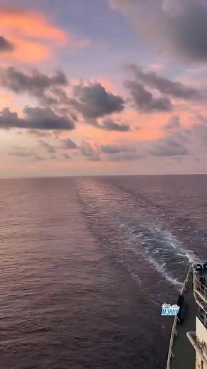 17K views · 814 reactions | Md Rahim on Reels | Facebook