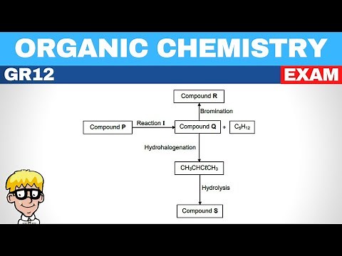 Exam Question Organic Chemistry Grade 12 | Reactions