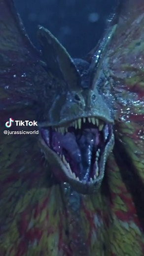 TikTok - Make Your Day