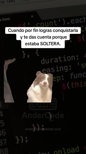 #Meme #andercode #developer #programacion #python