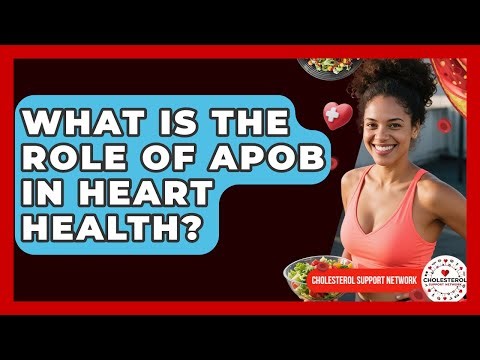 What Is the Role of ApoB in Heart Health? - Cholesterol Support Network