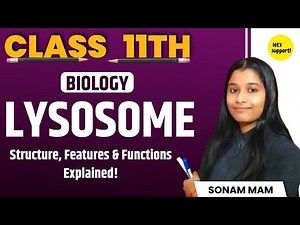 Lysosome | Complete NCERT Coverage | Class 11 Biology | Structure & Functions Explained in Detail