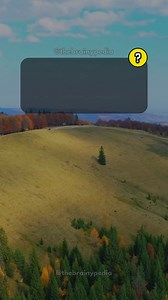 276K views · 3.5K reactions | General Knowledge Quiz Game. Common Abbreviations You Should Know. . . #thebranypedia #triviachallenge #quiz #quizvideos #QuizTime #TriviaTime #triviaquiz #quizgame #generalknowledge #QuizChallenge #quizzes #DidYouKnow #moreyouknow #didyouknowfacts | Brainypedia | Facebook