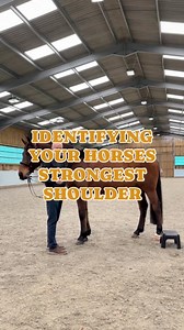9.8K views · 27 reactions | SADDLE FITTING PART 2 The first thing you need to identify when you are saddle fitting, is your horses strongest shoulder. Here David explains how! | WOW Saddles | Facebook