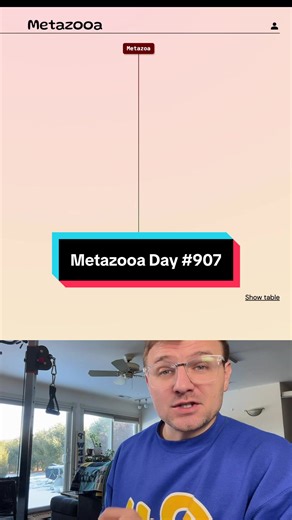Exploring Metazooa on Day 907
