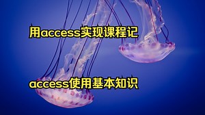 用access实现课程记录 access使用基本知识 Acces