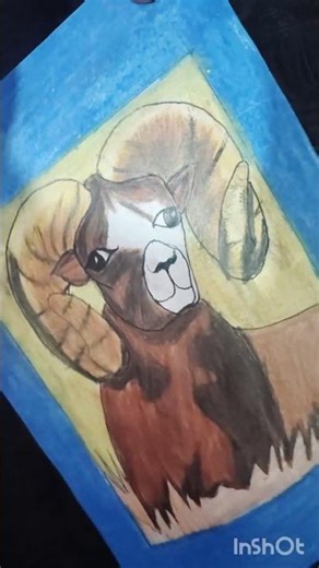 "Realistic Goat Drawing in 10 Seconds 🐐✨ #Shorts"| THE 🐐🐐