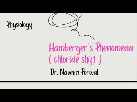 Hamburger’s Phenomenon (Chloride Shift) | Simple Explanation of Respiratory Physiology