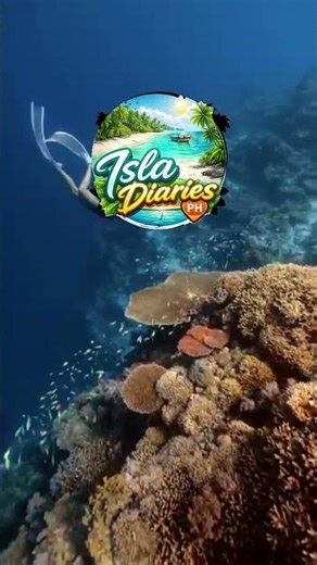 Why the Philippines is the Ultimate Island Destination! 🌏✨