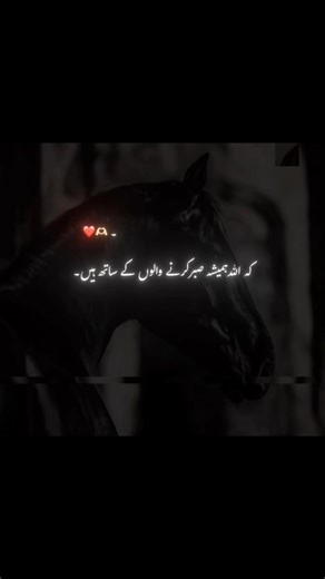 Patience and Its Divine Connection