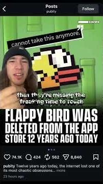 Flappy bird greatest game ever made