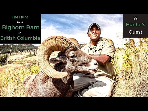 Hunting California Bighorn in British Columbia - Completing the Grand Slam of North American Sheep!