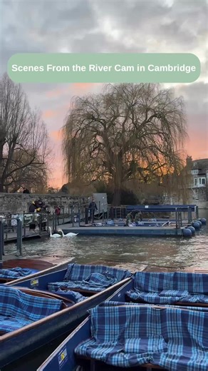 The River Cam in Cambridge: A Seasonal Exploration
