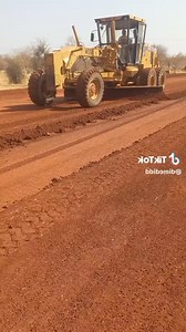 #bulldog #african | ES-TV