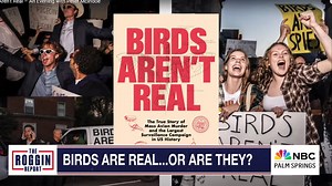 The “Birds Aren’t Real” Conspiracy: A Joke That Took Flight