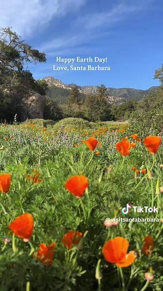 Visit Santa Barbara on TikTok