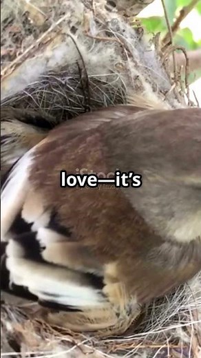 Finding Faith: Galatians 2:16 Explained