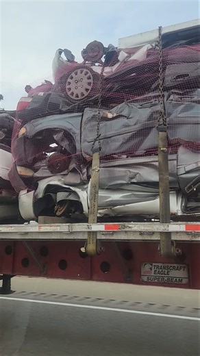 Let's go cars shopping