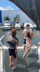 21K views · 195 reactions | We love our new nets Sunrise Yacht Products #sailing #nets #sailboat #sailor | Sailing Zatara | Facebook