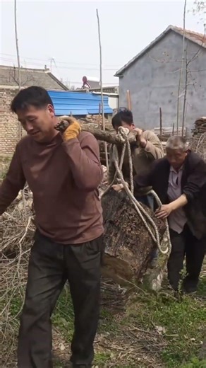 The Power of Teamwork: Moving Giant Logs