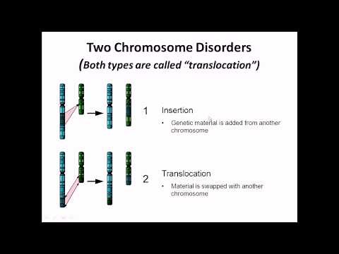 Chromosome abnormalities - structural abnormalities