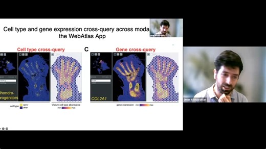 可视化整合的单细胞和空间转录组数据集 || EMBL-EBI