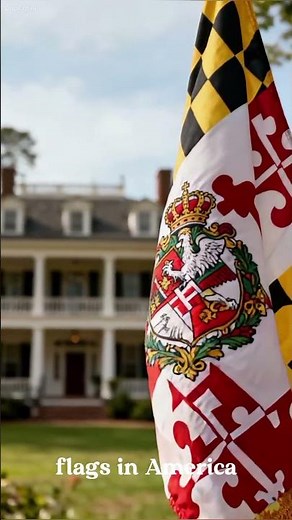 The Hidden Meaning Behind U.S. State Flags 🇺🇸