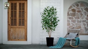 DR.Planzen 6FT Artificial Ficus Tree with White Tall Planter, Realistic Silk UV-Resistant Leaves & Natural Wood Trunk for Home Office Decor, Tall Indoor Outdoor Faux Plant Low Maintenance House Decor