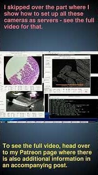 Multiple cameras connected to one microscope #robot #microscopy