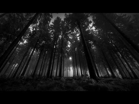 @Wellgun babası galiba