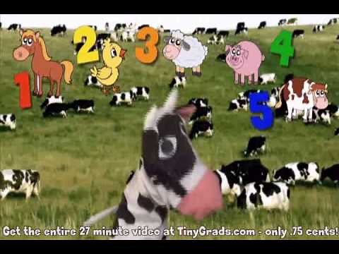 Learn to count! Fun cow puppet for children. Funny. homeschool families