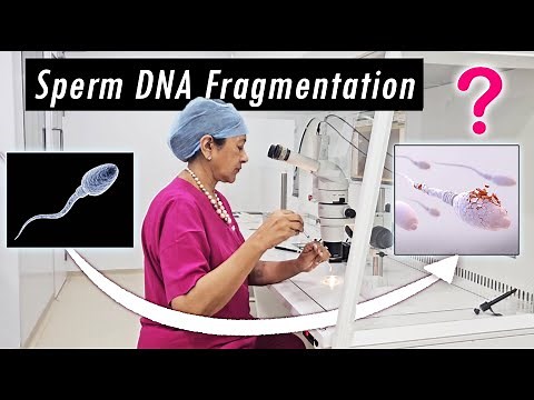 What is Sperm DNA Fragmentation in IVF? Causes, Effects, and Solutions Explained | Dr Vandana Bansal