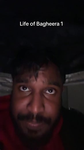 The Fascinating Life of Bagheera