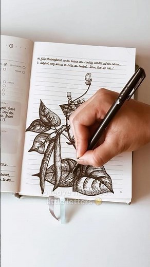 ✨DIY RECIPE BOOK 🥹✨