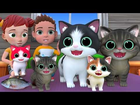 Billi ke Bache | Cat Cartoon | Cat Meowing | Cat | Kittens | Billi | Meow Meow | Cat Videos | Cats