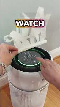 Levoit Eleva 300X Air Purifier After 1 Month: Worth It for Allergies?