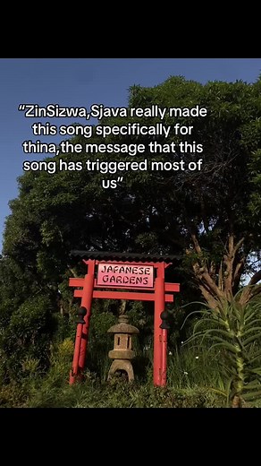 Understanding Sjava's Powerful Message in ZinSizwa
