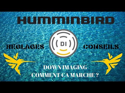 [TUTO] HUMMINBIRD - COMMENT REGLER LE DOWN IMAGING (DI) ET COMMENT FONCTIONNE-T-IL ?