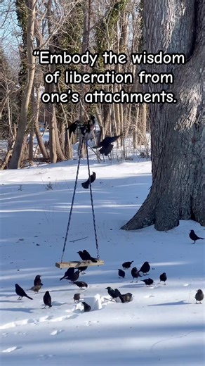 7th of 8 Qualities- Dogen teaching #shorts #wisdom #buddha #meditation #quotes