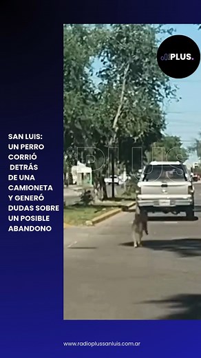 6.1K views · 126 reactions | Una vecina de la ciudad de San Luis...
