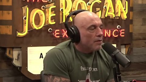 'Trump has lost Joe Rogan': Podcaster hits out at 'horrific' ICE actions