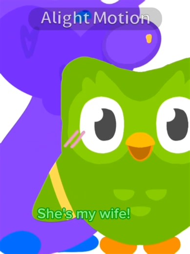 Funny Duolingo Cat Jokes: A Playful Look at Language Learning