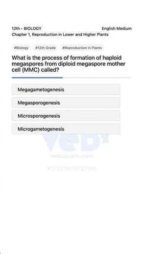 Biology 12th Reproduction in Plants Megasporogenesis