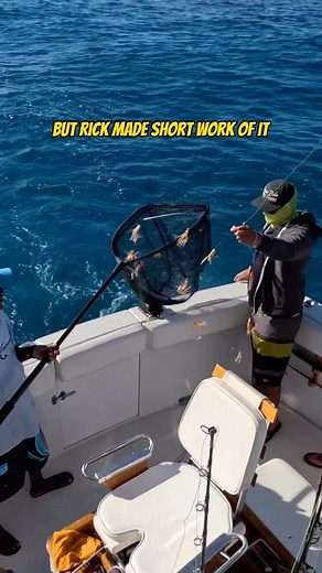 2.9K views · 100 reactions | First Pacific Sierra of the year!  : Captain Dave Hansen #sierrafishing #pacificsierra #sierrafish #fishing #fishingtime #fishingvideos #fishingtiktok #fishingtok #fishingvideooftheday #fishinglife #fishingdaily #fishingislife | Your Saltwater Guide | Facebook