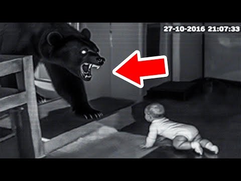 When Wild Animals Sneak Up Uninvited